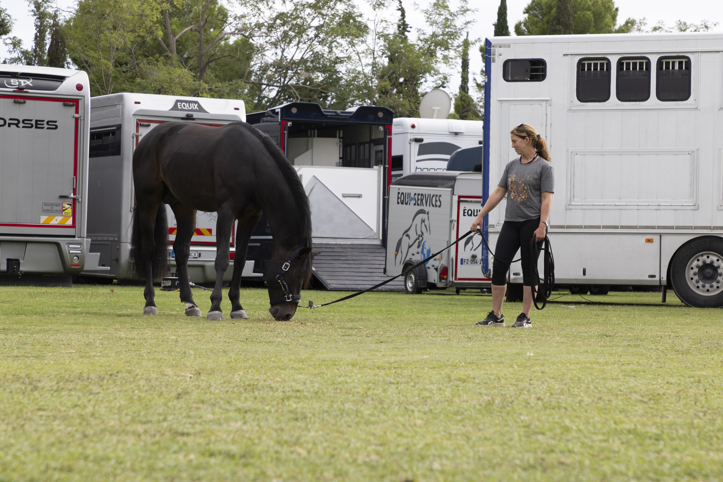 La logística invisible del CSIO Barcelona: cómo viajan los caballos