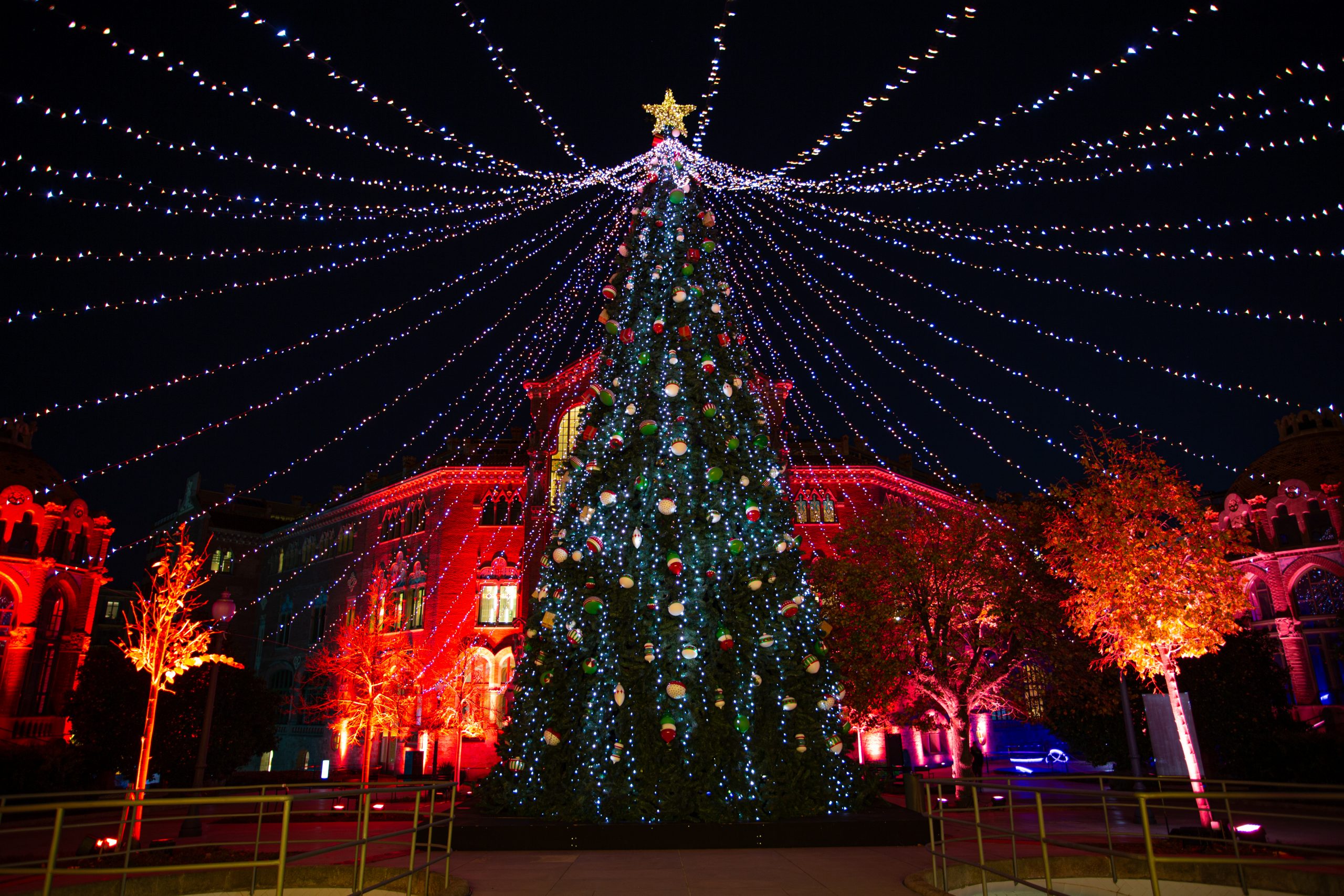 Els Llums de Sant Pau inaugura su quinta edición batiendo récords como el mejor  plan navideño de Barcelona