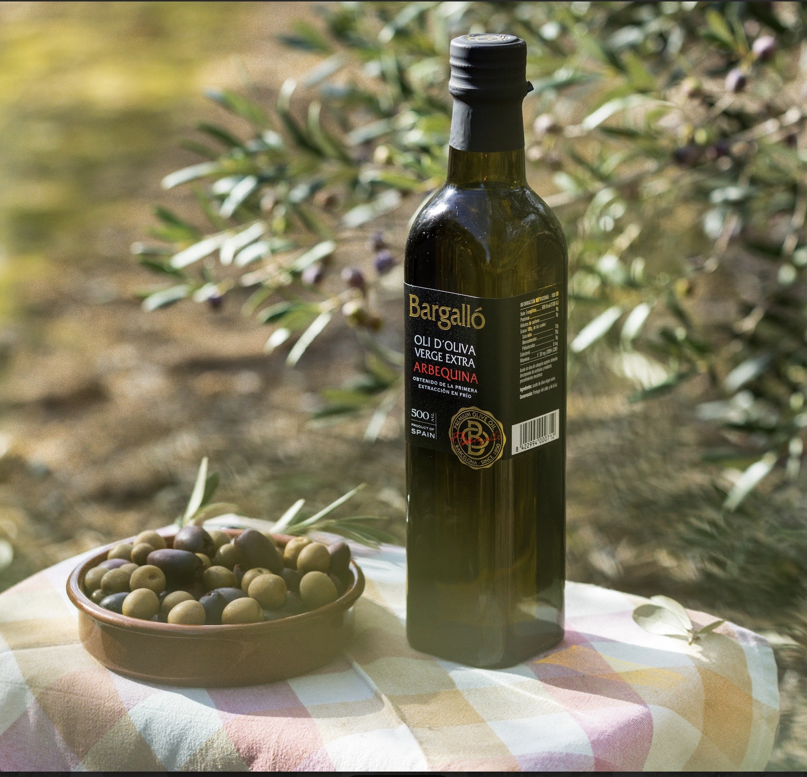 Olis Bargalló reivindica el AOVE como aliado natural para las dietas detox