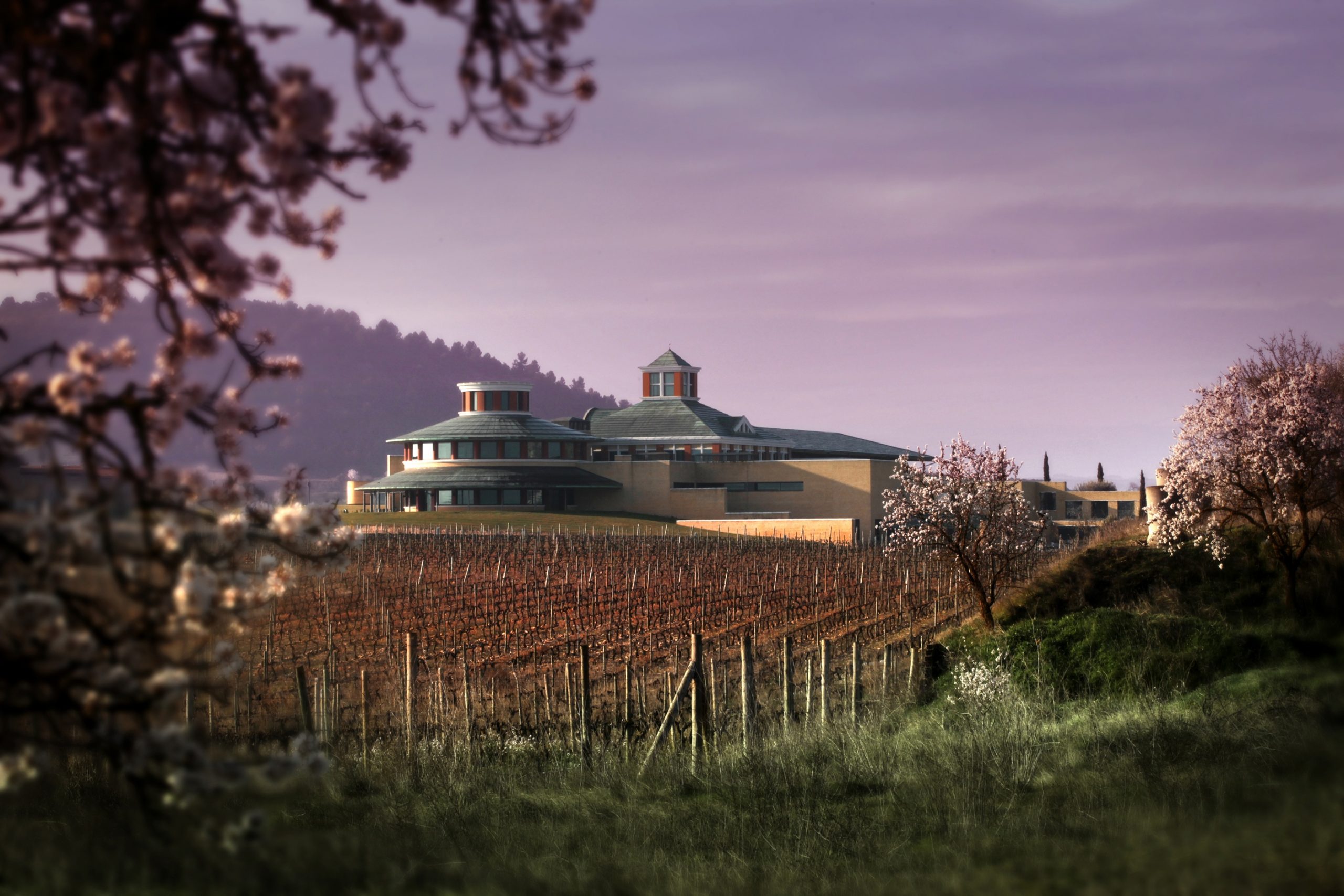 Palacio de los Ángeles y Vivanco se unen para ofrecer una experiencia exclusiva durante el eclipse solar del 12 de agosto